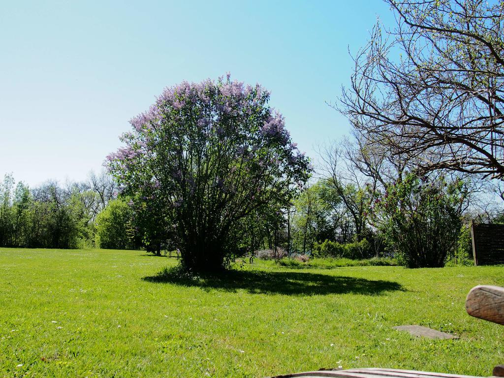 Gite De Charme Au Bord Du Tarn Marssac-sur-Tarn Exterior foto